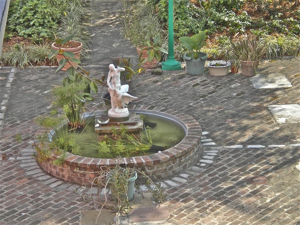 La Belle Esplanade Bed and Breakfast Nueva Orleans Exterior foto
